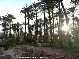 41 SANTA POLA ANTIQUE MUSEE (80)